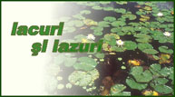 IMG Lacuri iazuri